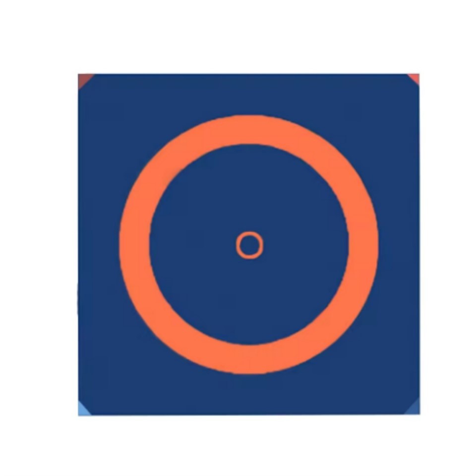 XPE Foam Grappling Mats and PVC Cover Sheet2